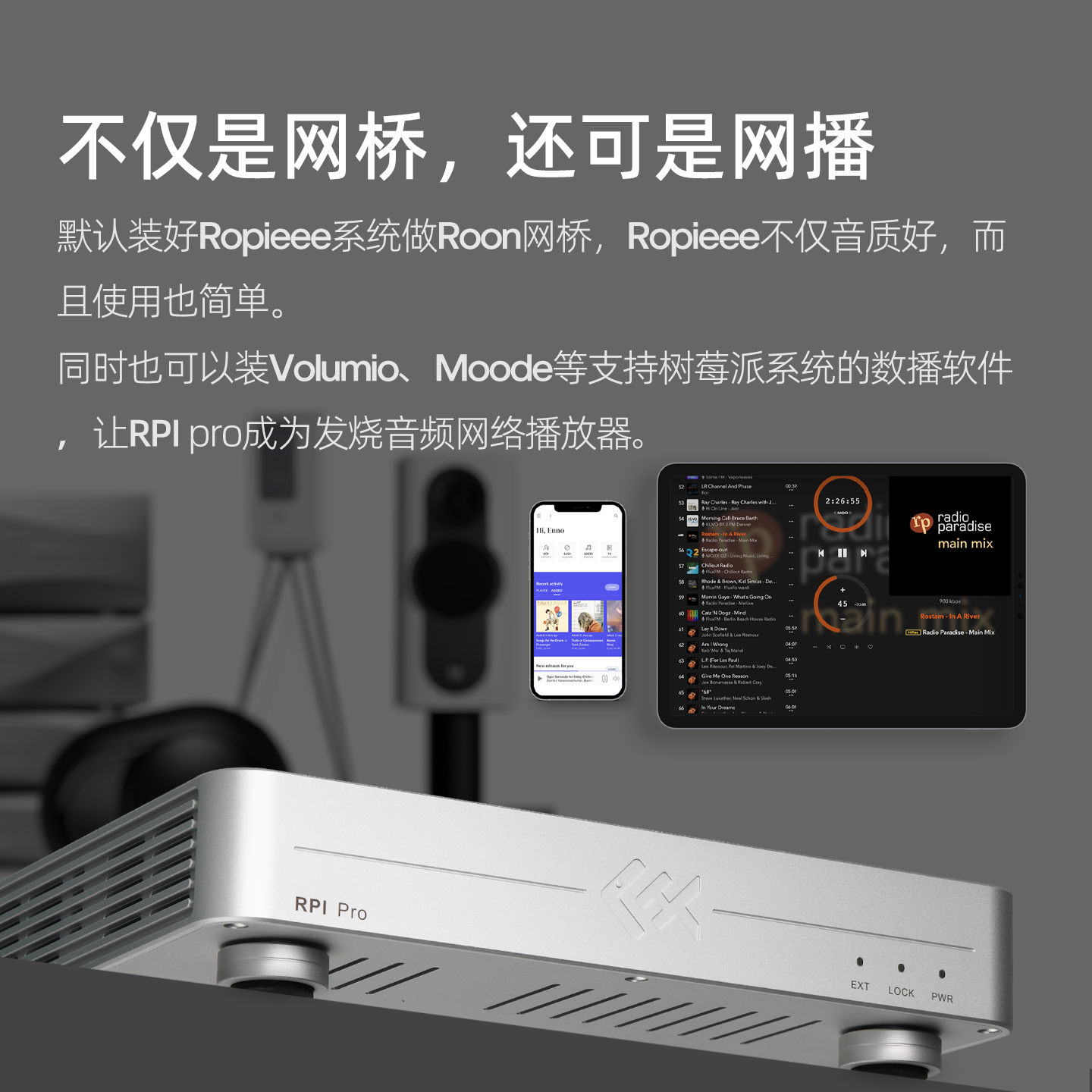 Tiger Fish Audio RPI Pro Strea - Audio Music Player 评论和价格