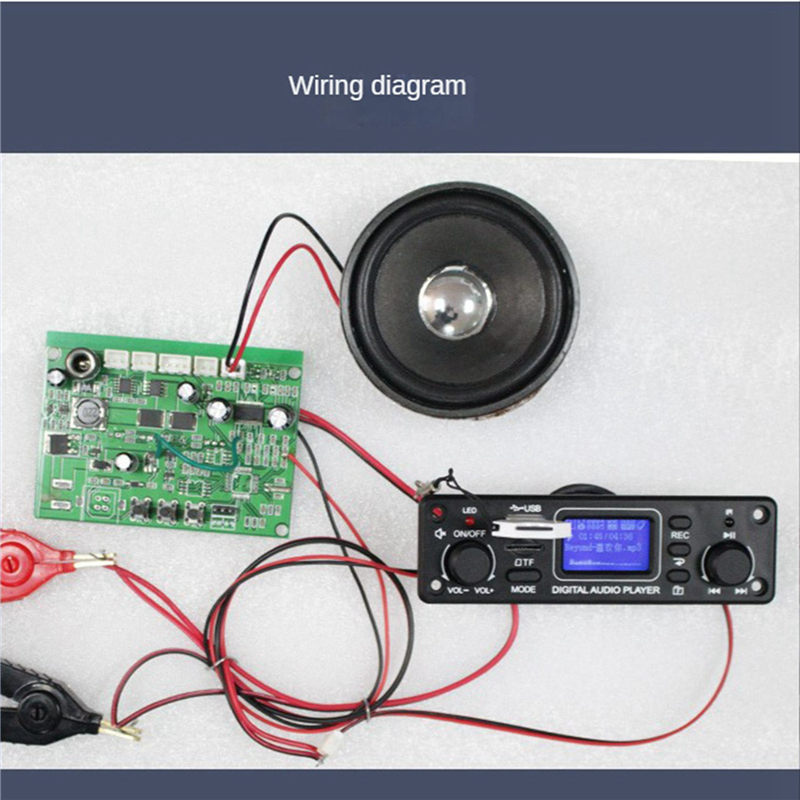 CJSD-2X Digital Audio Player B - Audio Music Free Mp3 评论和价格