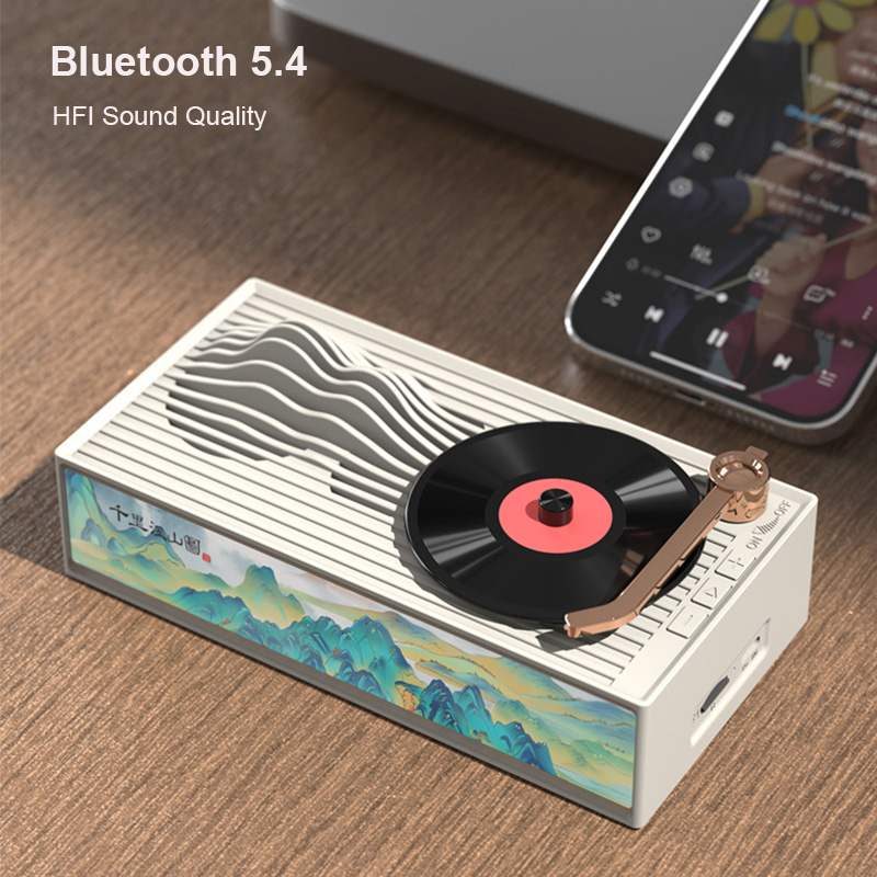 Black Vinyl Record Design Wire - Apple Music Audio Quality 评论和价格